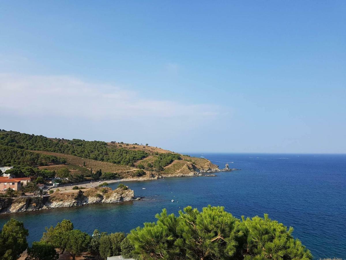 Profitez De La Vue ! * Banyuls-sur-Mer
